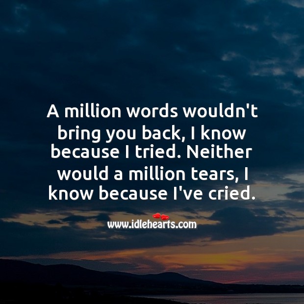 A million words wouldn’t bring you back, I know because I tried. Sad Love Messages Image