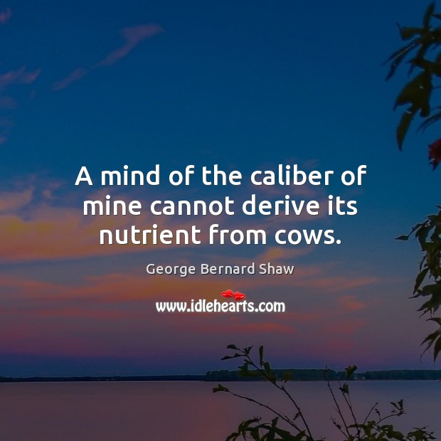 A mind of the caliber of mine cannot derive its nutrient from cows. George Bernard Shaw Picture Quote