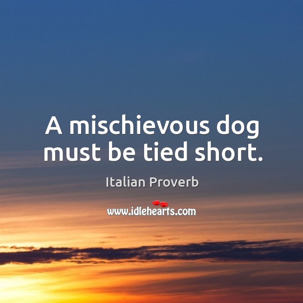 A mischievous dog must be tied short. Image