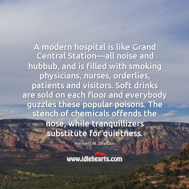 A modern hospital is like Grand Central Station—all noise and hubbub, Herbert M. Shelton Picture Quote