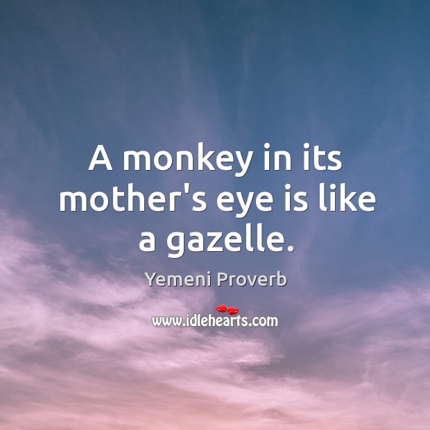 A monkey in its mother’s eye is like a gazelle. Yemeni Proverbs Image