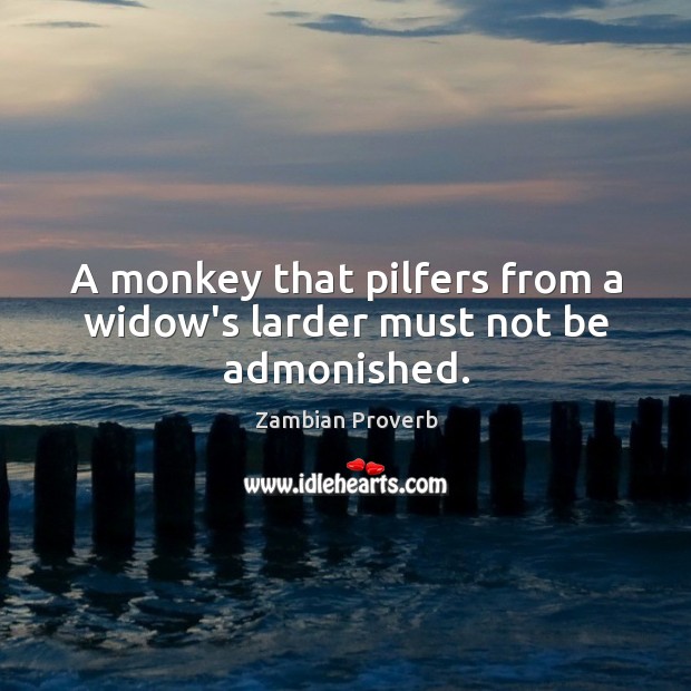 A monkey that pilfers from a widow’s larder must not be admonished. Zambian Proverbs Image
