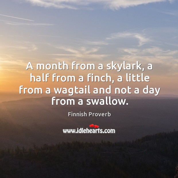 A month from a skylark, a half from a finch Finnish Proverbs Image