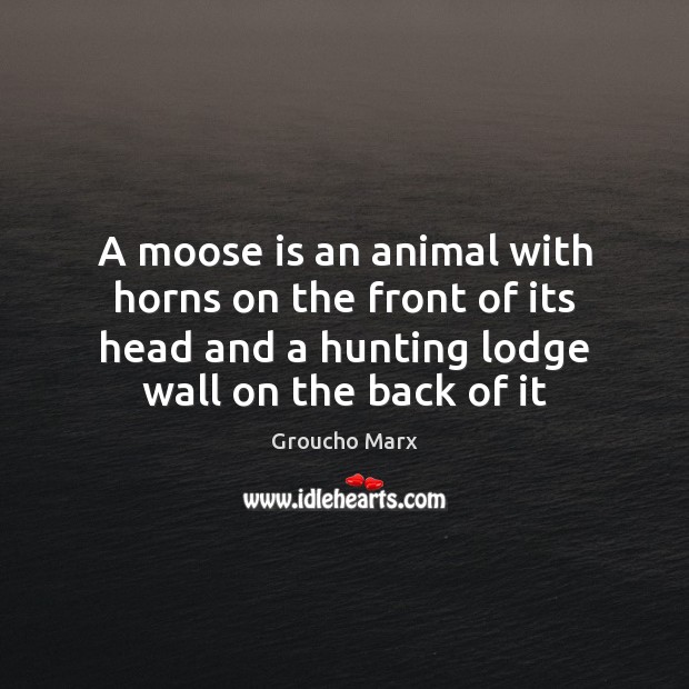 A moose is an animal with horns on the front of its Groucho Marx Picture Quote