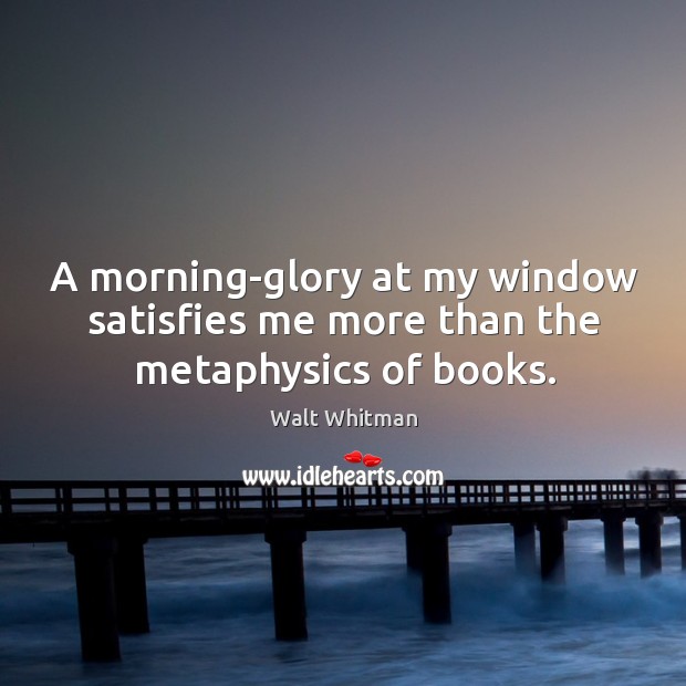 A morning-glory at my window satisfies me more than the metaphysics of books. Walt Whitman Picture Quote