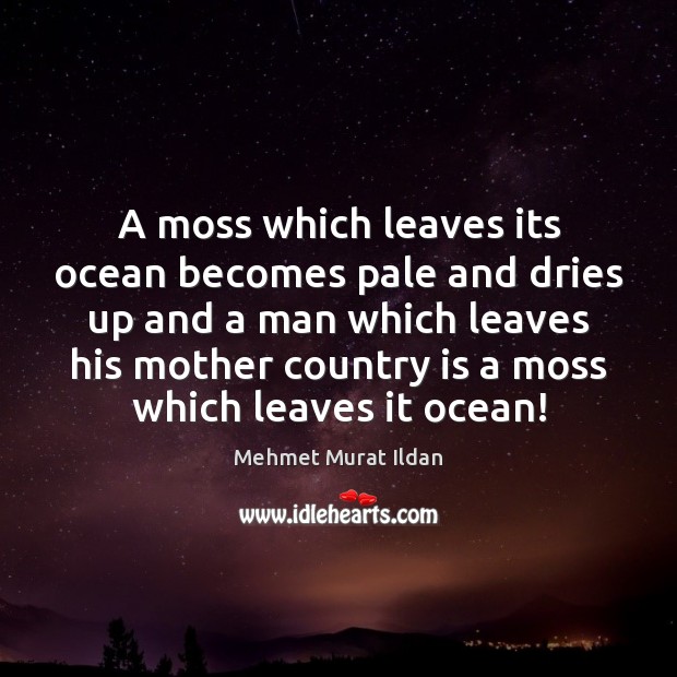 A moss which leaves its ocean becomes pale and dries up and Mehmet Murat Ildan Picture Quote