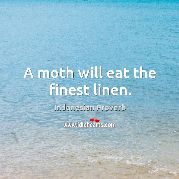 A moth will eat the finest linen. Indonesian Proverbs Image