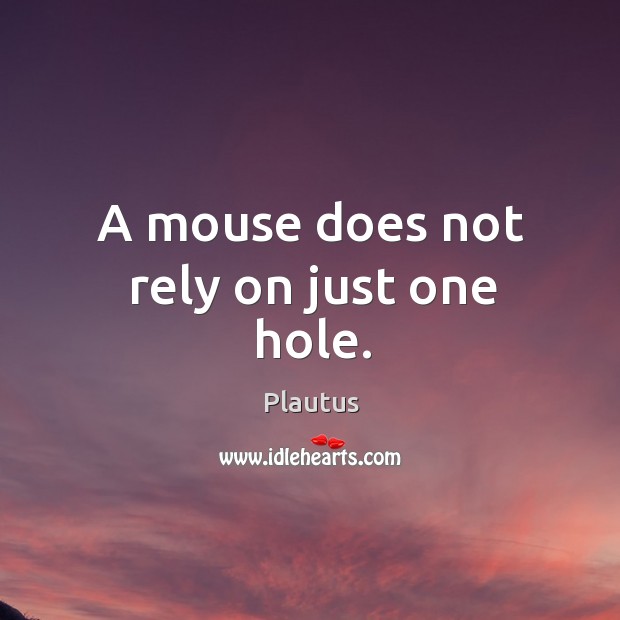 A mouse does not rely on just one hole. Plautus Picture Quote