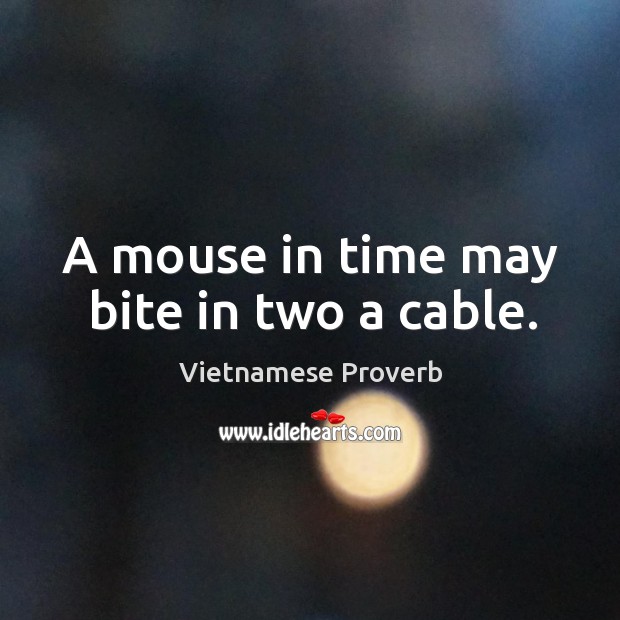 A mouse in time may bite in two a cable. Vietnamese Proverbs Image