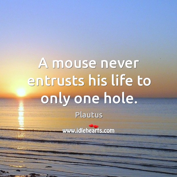 A mouse never entrusts his life to only one hole. Plautus Picture Quote