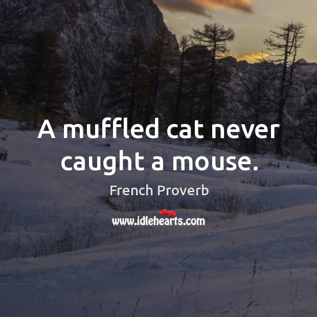 A muffled cat never caught a mouse. Image