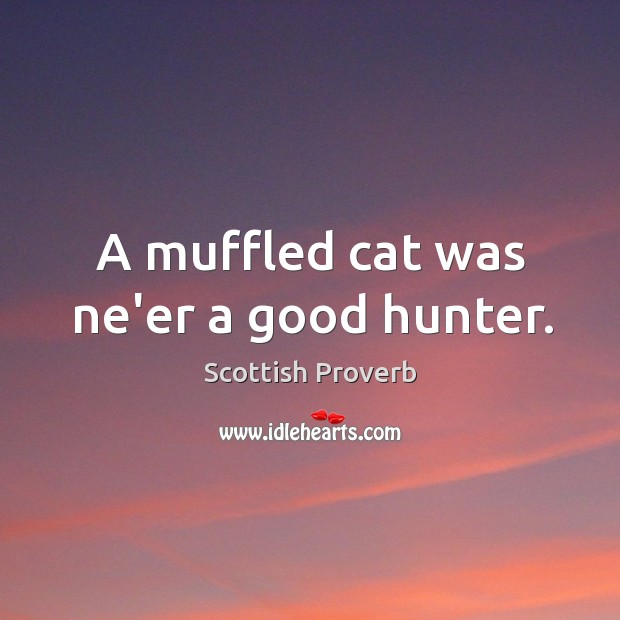 A muffled cat was ne’er a good hunter. Scottish Proverbs Image