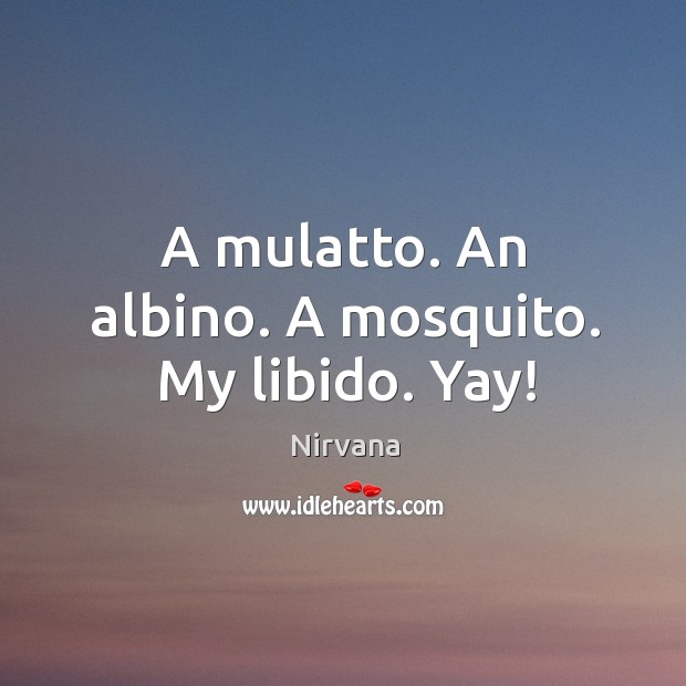 A mulatto. An albino. A mosquito. My libido. Yay! Image