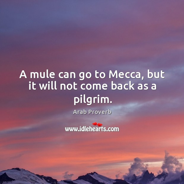 A mule can go to mecca, but it will not come back as a pilgrim. Arab Proverbs Image