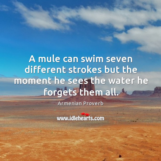 A mule can swim seven different strokes Armenian Proverbs Image