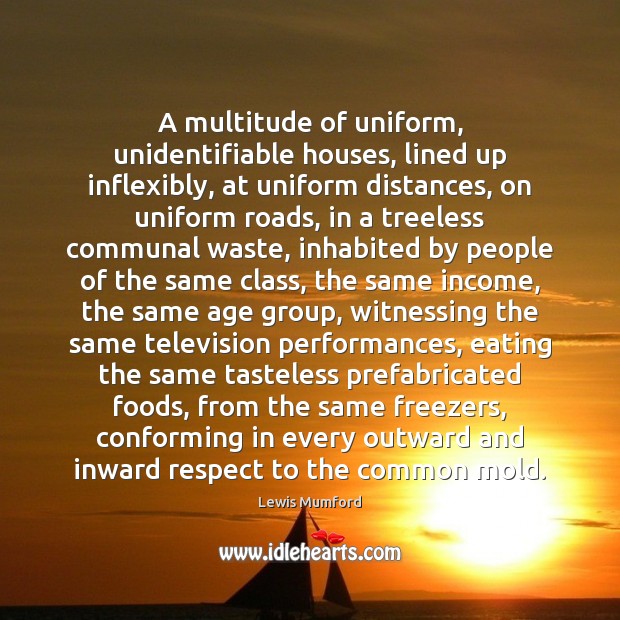 A multitude of uniform, unidentifiable houses, lined up inflexibly, at uniform distances, Lewis Mumford Picture Quote