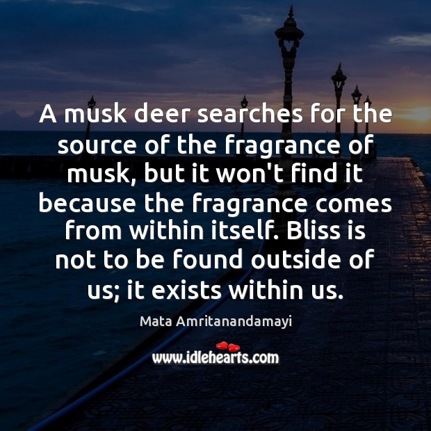 A musk deer searches for the source of the fragrance of musk, Mata Amritanandamayi Picture Quote
