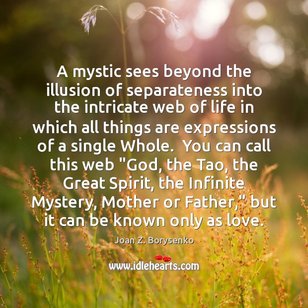A mystic sees beyond the illusion of separateness into the intricate web Joan Z. Borysenko Picture Quote