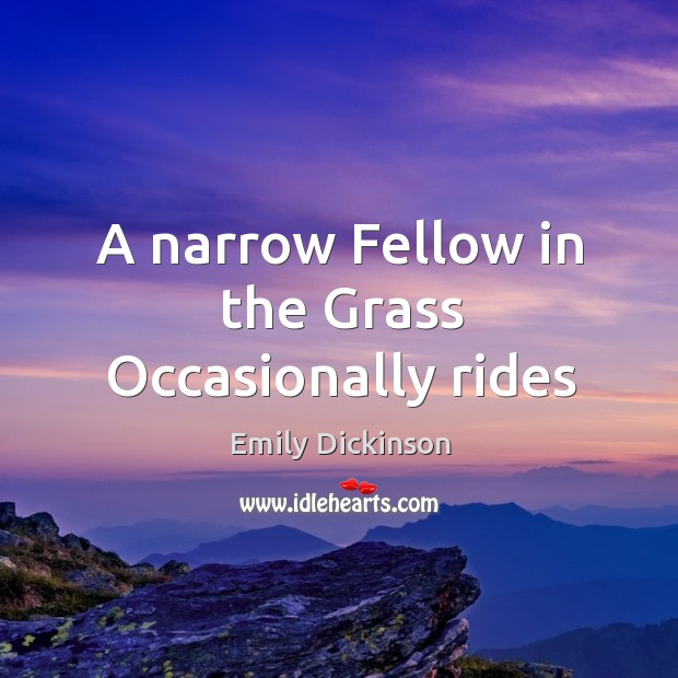 A narrow Fellow in the Grass Occasionally rides Emily Dickinson Picture Quote