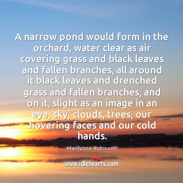 A narrow pond would form in the orchard, water clear as air Marilynne Robinson Picture Quote