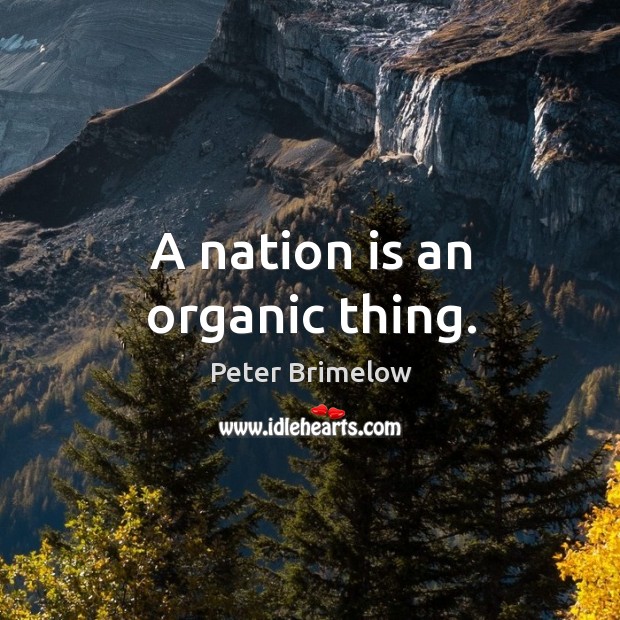 A nation is an organic thing. Peter Brimelow Picture Quote
