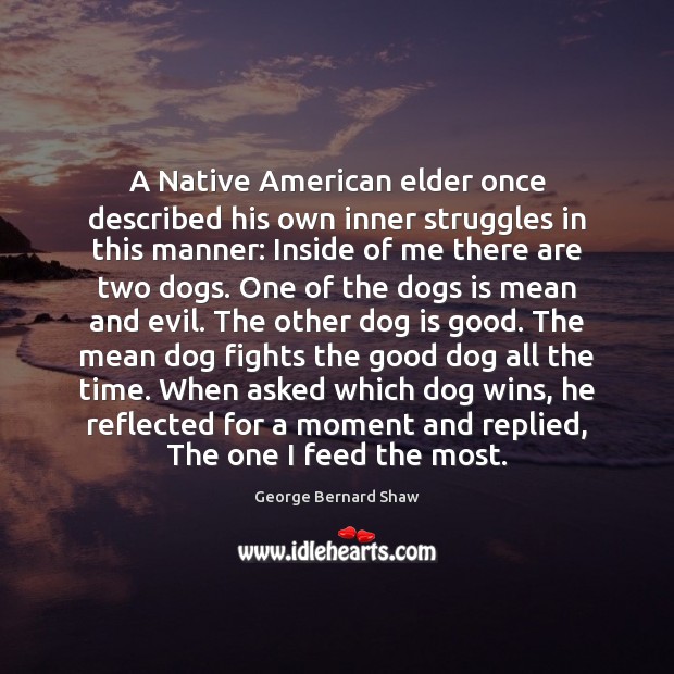 A Native American elder once described his own inner struggles in this Image