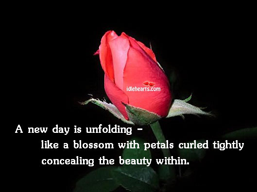 A new day is unfolding – like a blossom Image