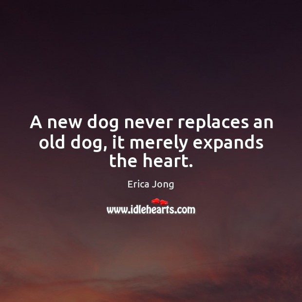 A new dog never replaces an old dog, it merely expands the heart. Erica Jong Picture Quote