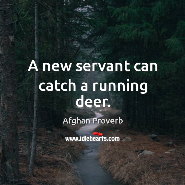 A new servant can catch a running deer. Afghan Proverbs Image