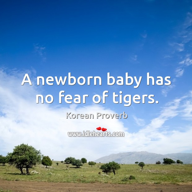 A newborn baby has no fear of tigers. Korean Proverbs Image