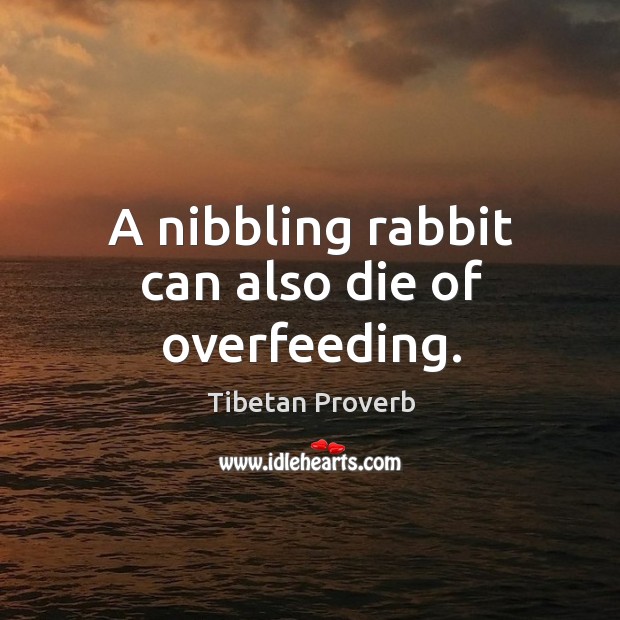 Tibetan Proverbs