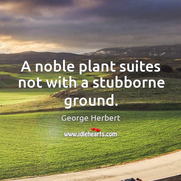 A noble plant suites not with a stubborne ground. George Herbert Picture Quote