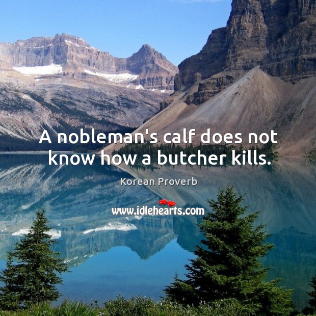 A nobleman’s calf does not know how a butcher kills. Korean Proverbs Image