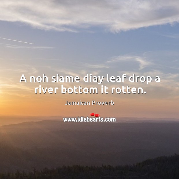 A noh siame diay leaf drop a river bottom it rotten. Jamaican Proverbs Image