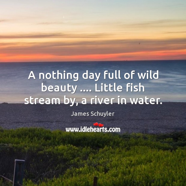 A nothing day full of wild beauty …. Little fish stream by, a river in water. James Schuyler Picture Quote
