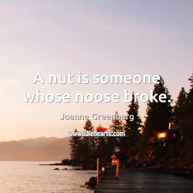 A nut is someone whose noose broke. Joanne Greenberg Picture Quote