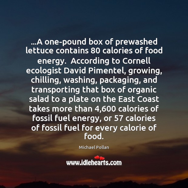 …A one-pound box of prewashed lettuce contains 80 calories of food energy.  According Michael Pollan Picture Quote