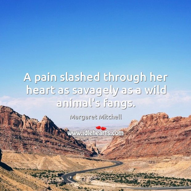 A pain slashed through her heart as savagely as a wild animal’s fangs. Margaret Mitchell Picture Quote