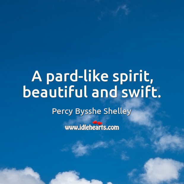 A pard-like spirit, beautiful and swift. Percy Bysshe Shelley Picture Quote