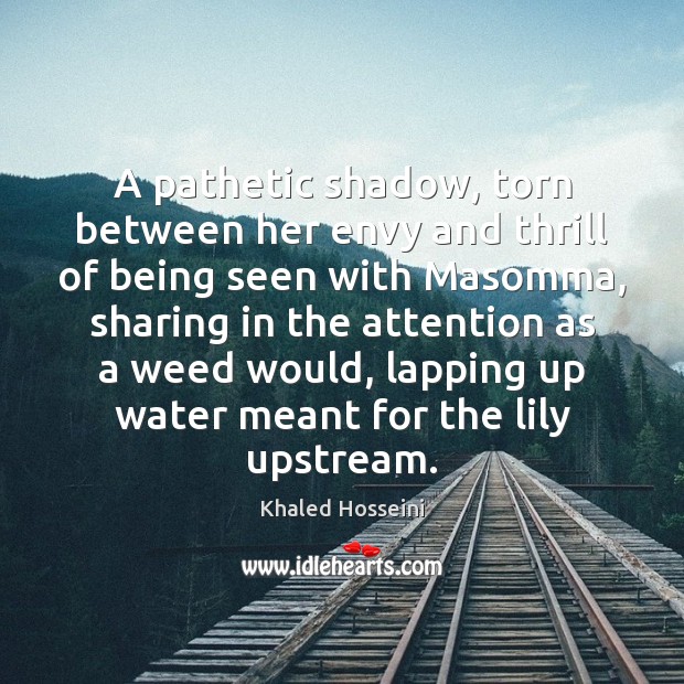 A pathetic shadow, torn between her envy and thrill of being seen Khaled Hosseini Picture Quote