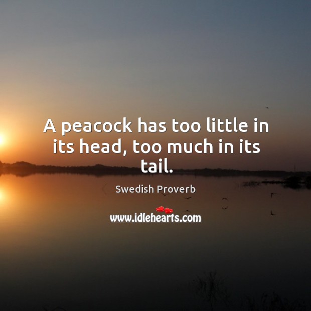 A peacock has too little in its head, too much in its tail. Swedish Proverbs Image