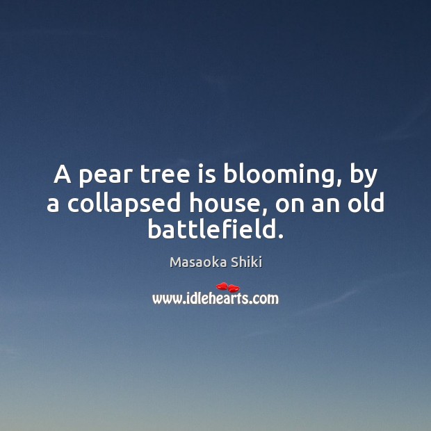 A pear tree is blooming, by a collapsed house, on an old battlefield. 