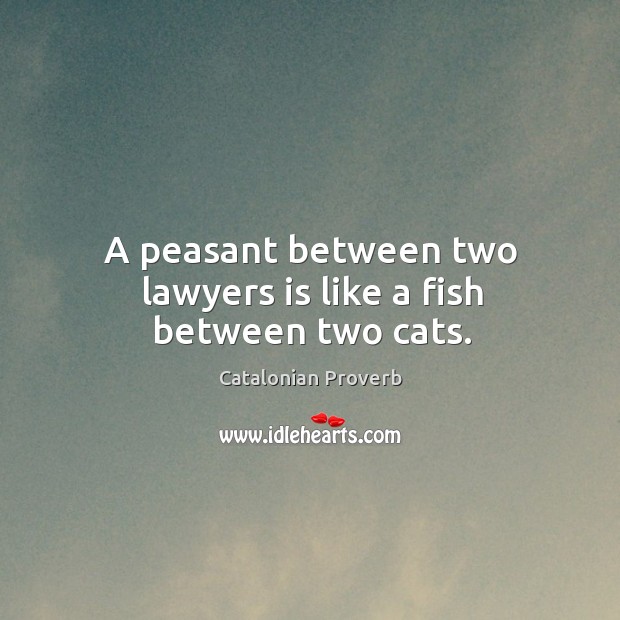 A peasant between two lawyers is like a fish between two cats. Catalonian Proverbs Image