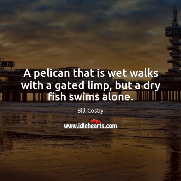 A pelican that is wet walks with a gated limp, but a dry fish swims alone. Image
