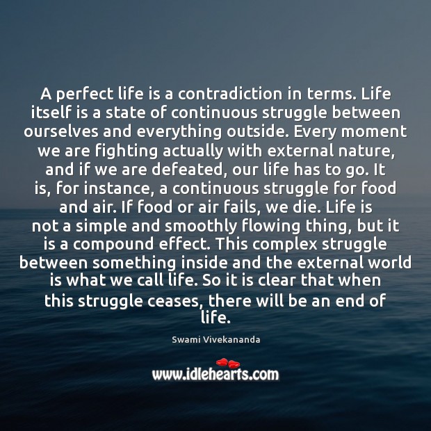 A perfect life is a contradiction in terms. Life itself is a Image