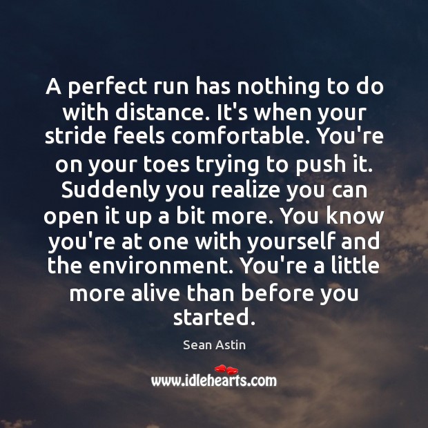 A perfect run has nothing to do with distance. It’s when your Sean Astin Picture Quote