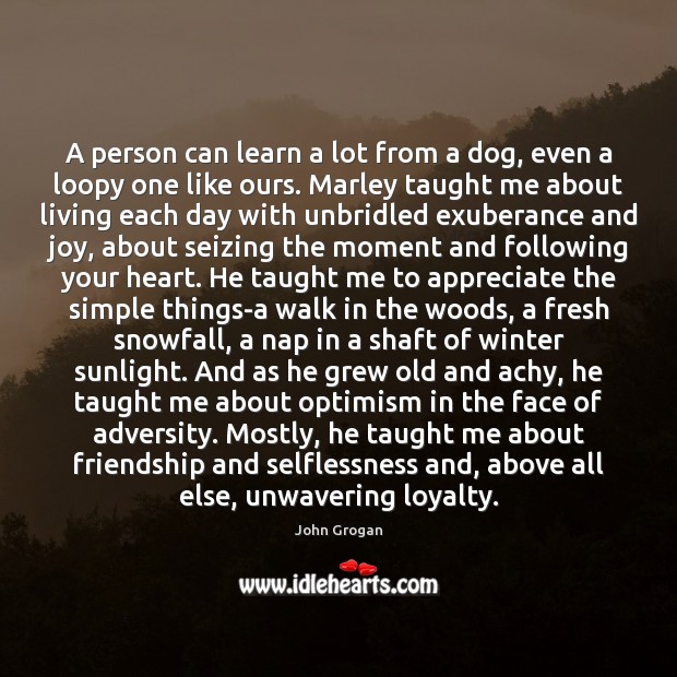 A person can learn a lot from a dog, even a loopy Winter Quotes Image