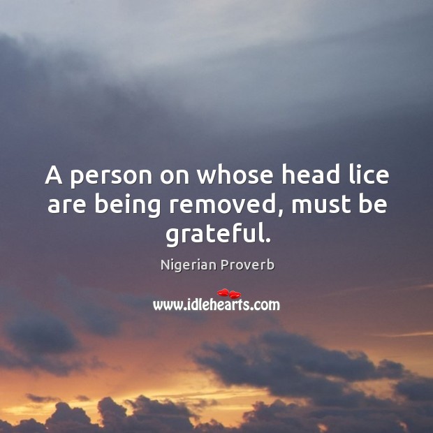 A person on whose head lice are being removed, must be grateful. Be Grateful Quotes Image