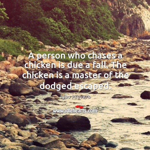 A person who chases a chicken is due a fall. Igbo Proverbs Image