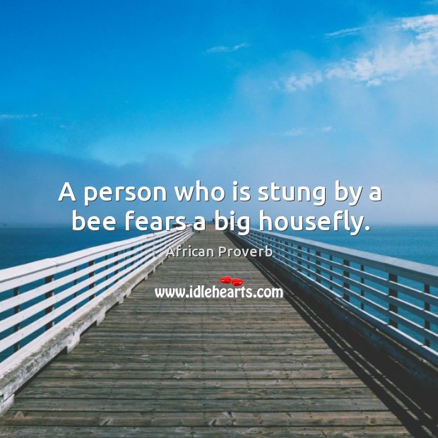 A person who is stung by a bee fears a big housefly. 